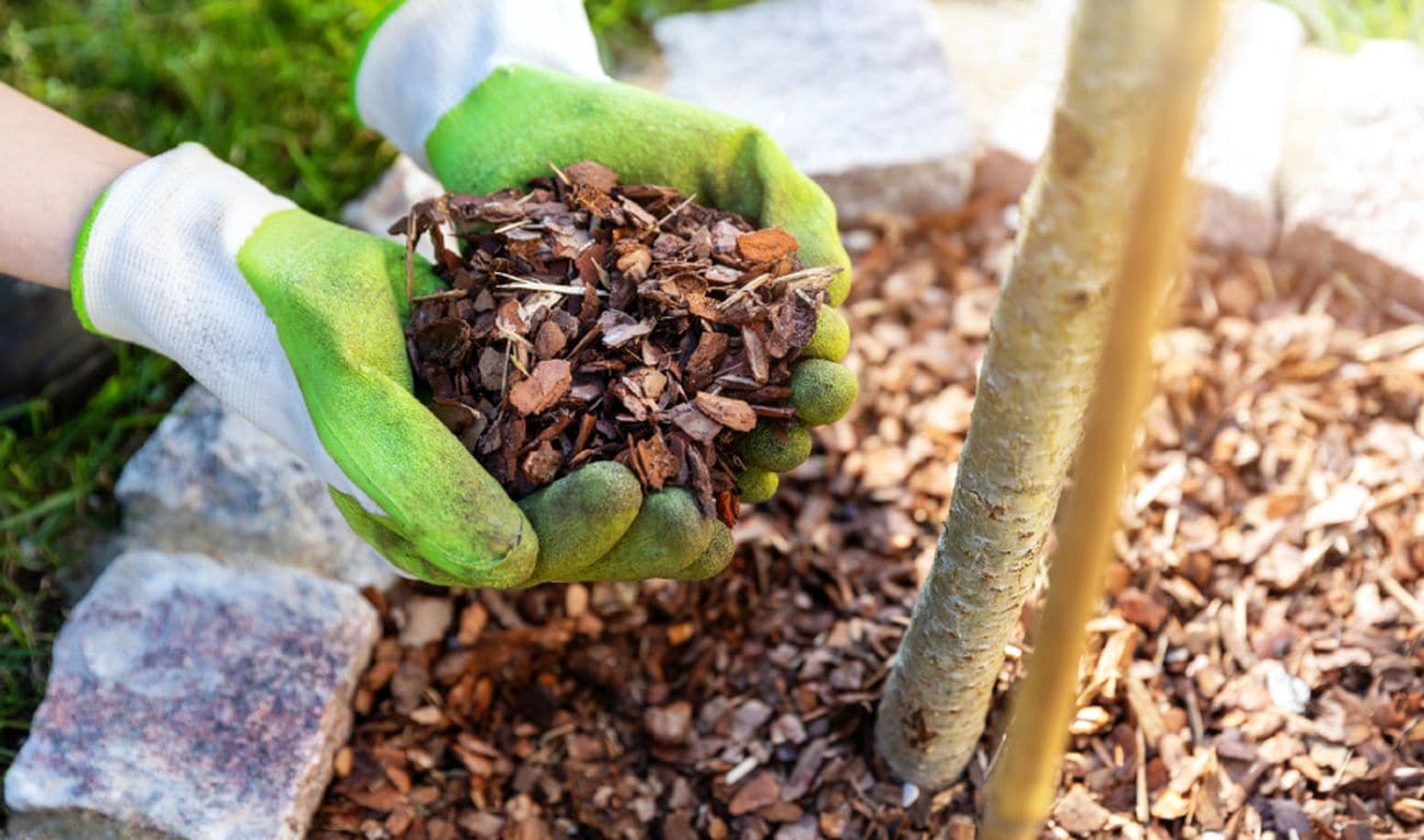 Mulching Services